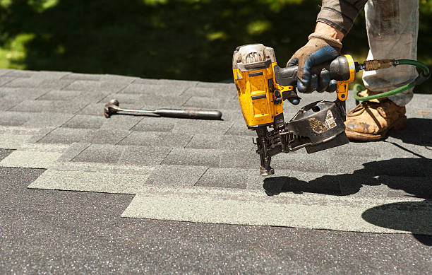 Best Roof Gutter Cleaning  in Ofallon, IL