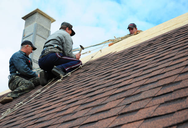 Best Metal Roofing Contractor  in Ofallon, IL