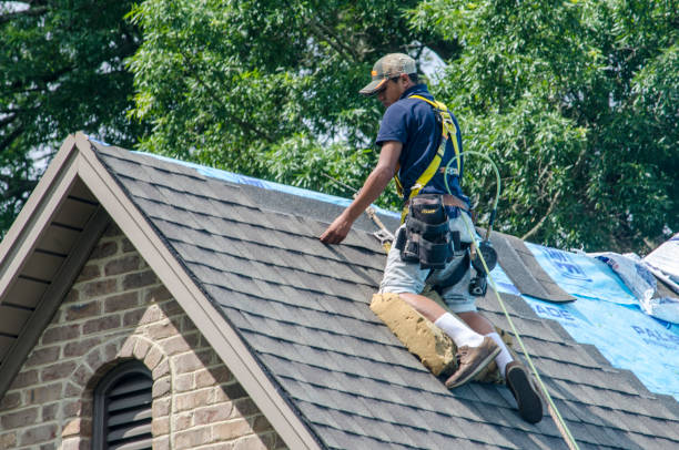 Roof Gutter Cleaning in Ofallon, IL